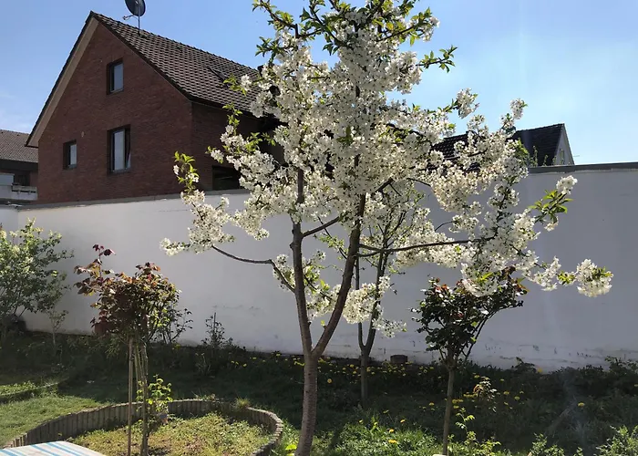 Kleve-Kellen