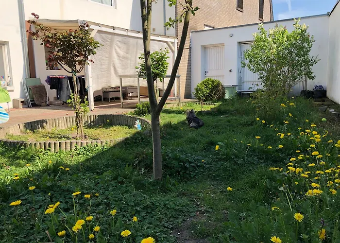 Kleve-Kellen