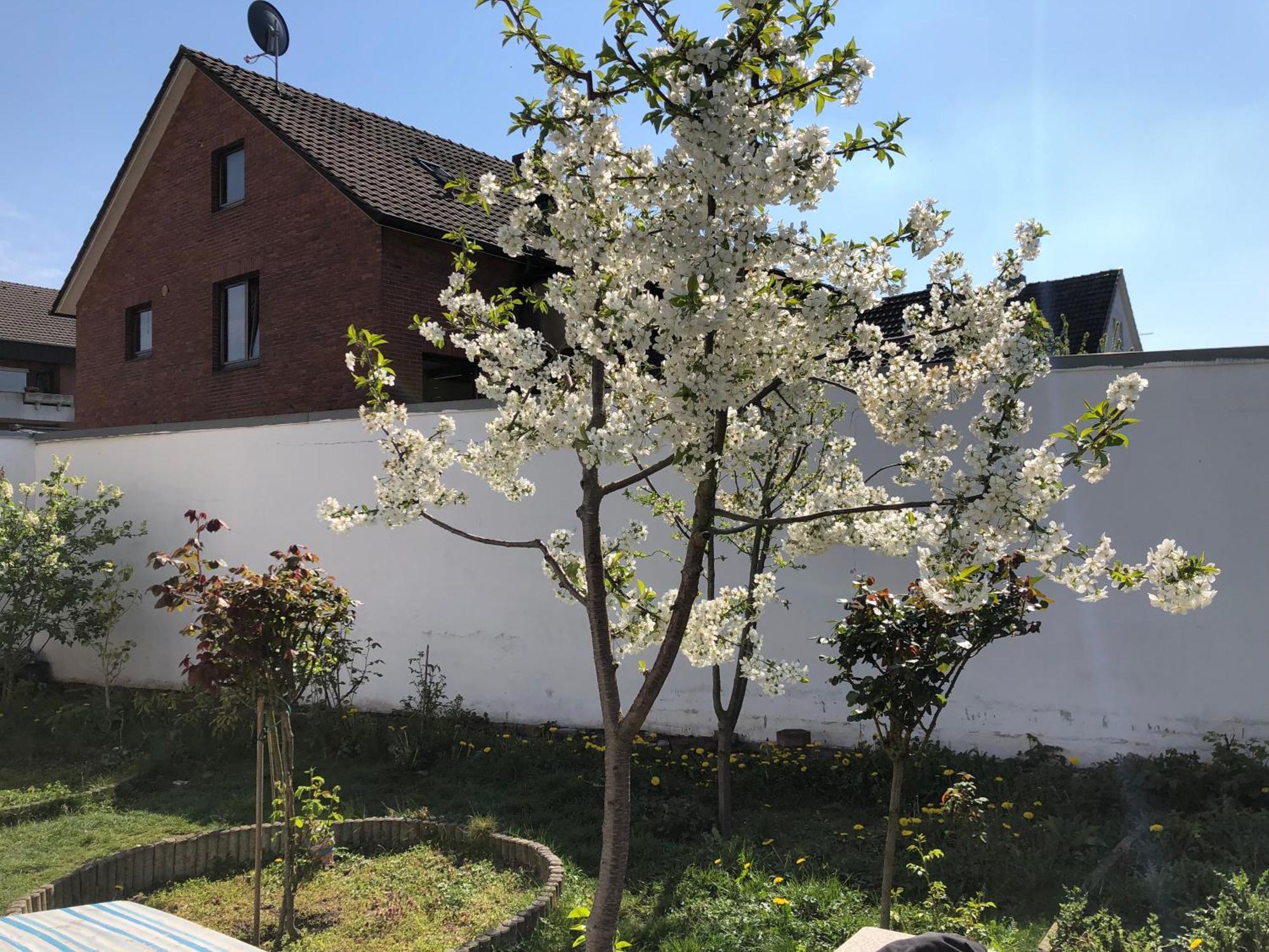Kleve-kellen Homestay Kleve (Dusseldorf)