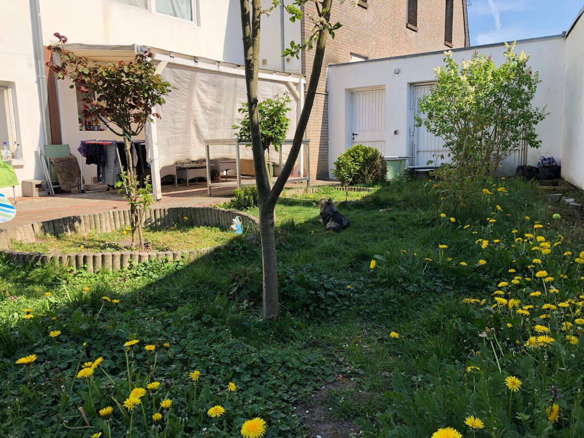 Homestay Kleve-kellen Kleve (Dusseldorf)